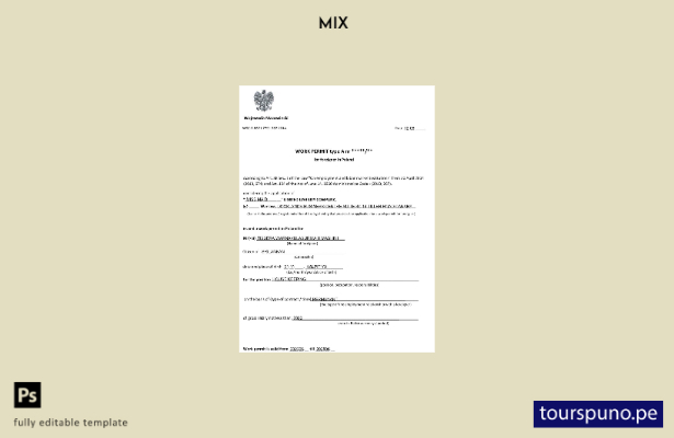 Plantilla de permiso de trabajo de Polonia lista para imprimir